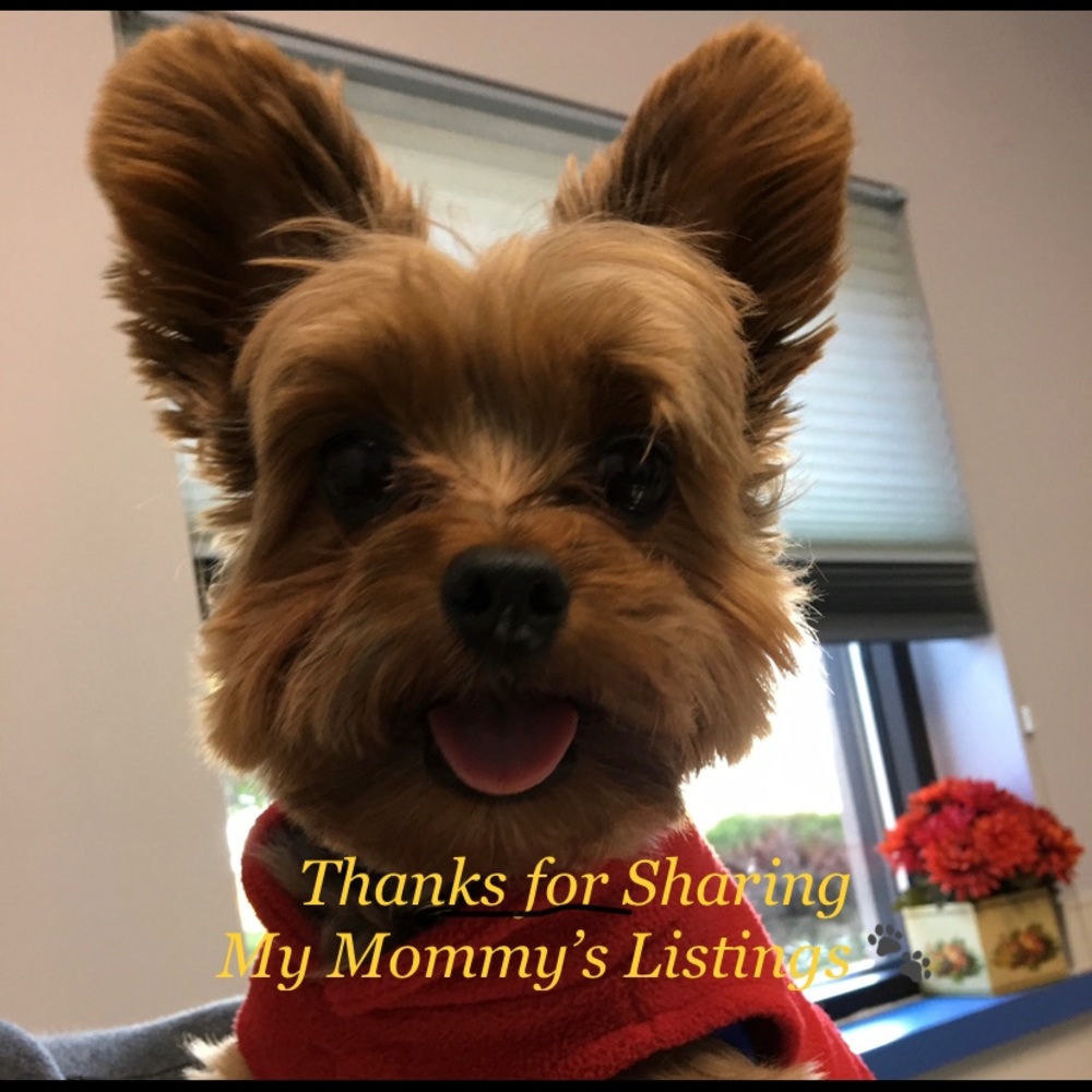 Thanks For Sharing My Mommy’s Listings 🐾
